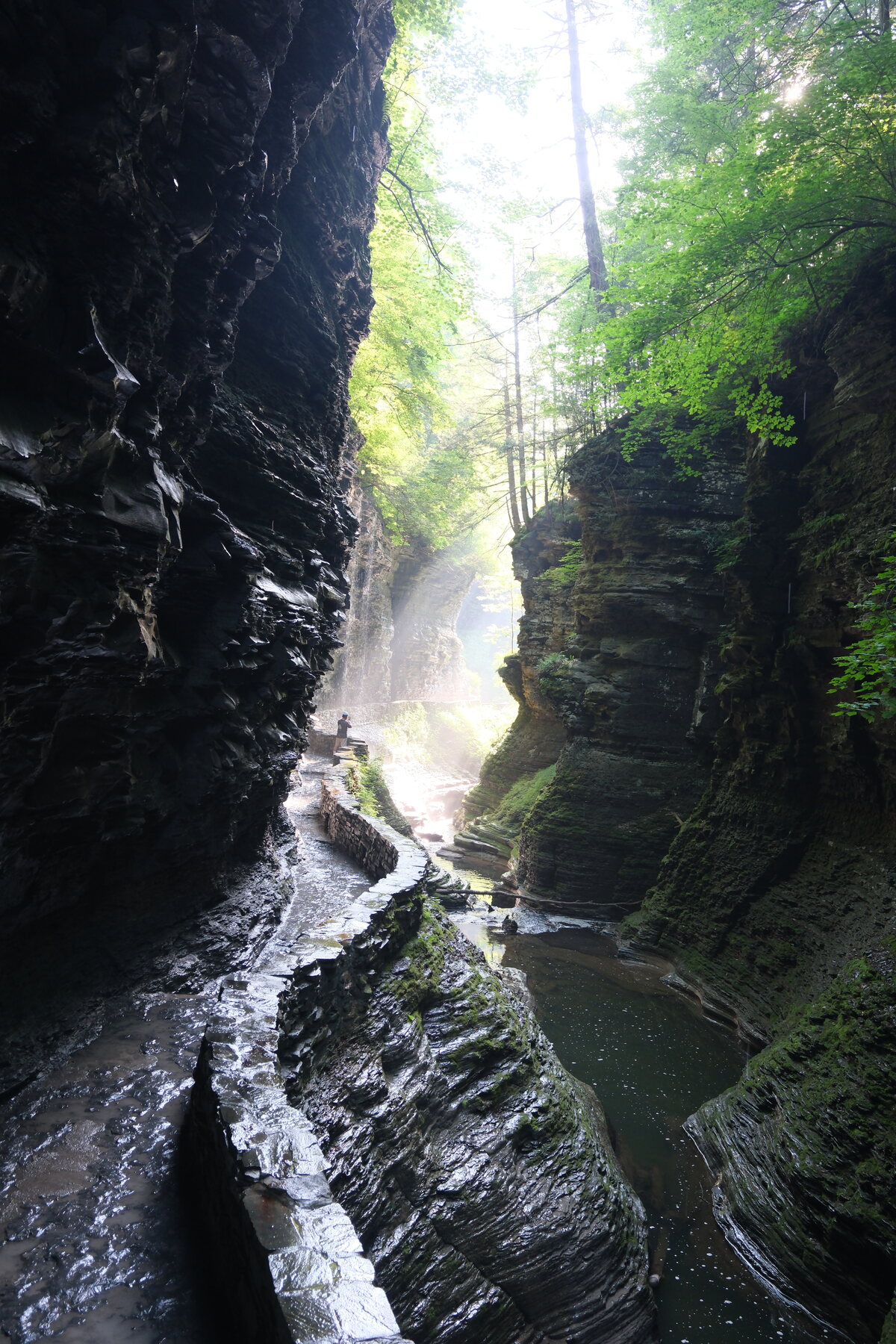 Watkins Glen
