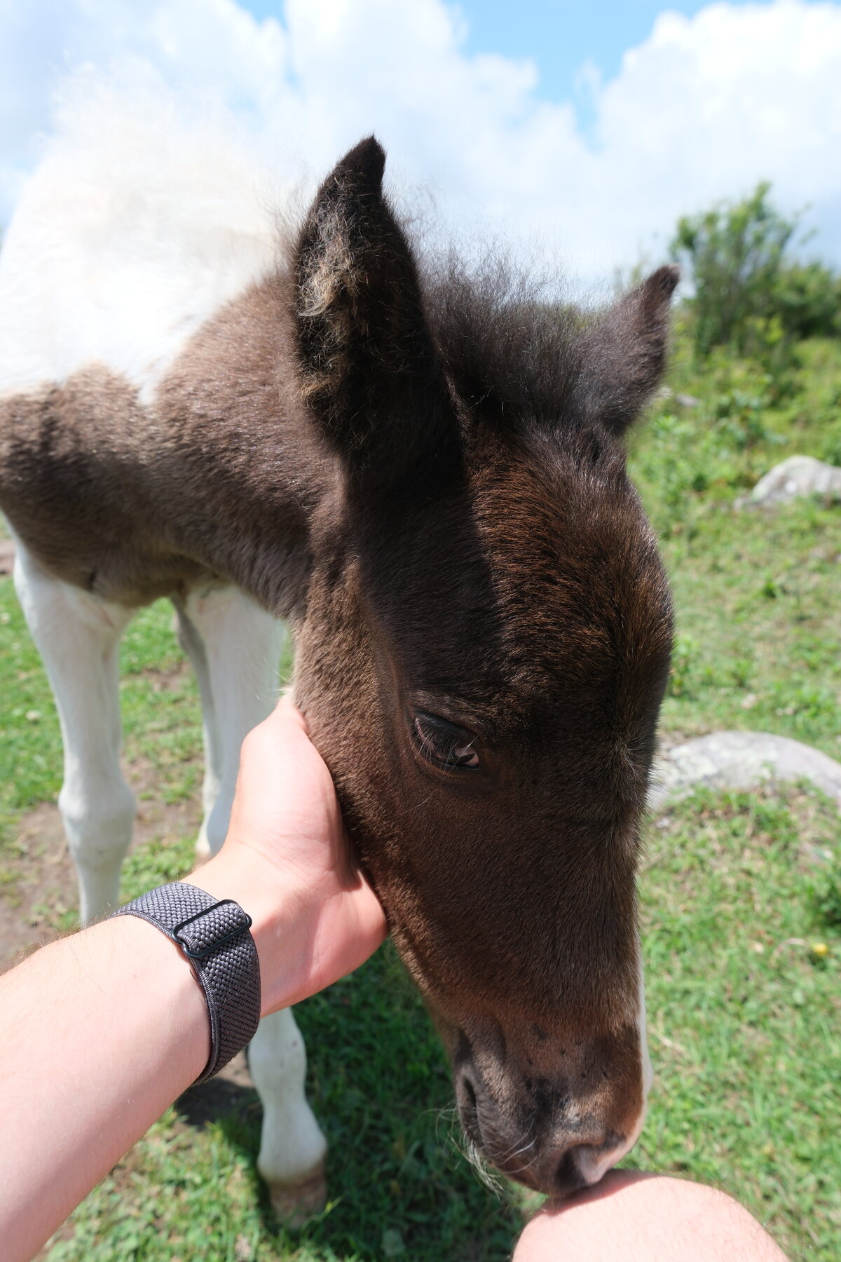 Made a friend